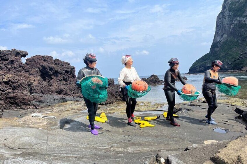 Full-Day Jeju Island East Tour with Lunch Included