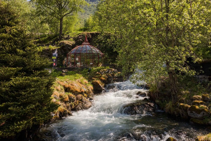 Picture 14 for Activity Geiranger: Zipline Park Experience