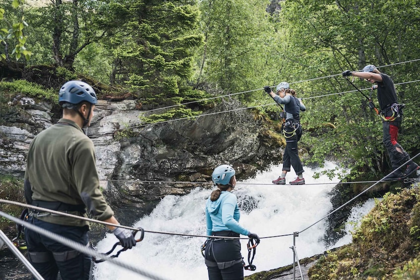 Picture 3 for Activity Geiranger: Zipline Park Experience