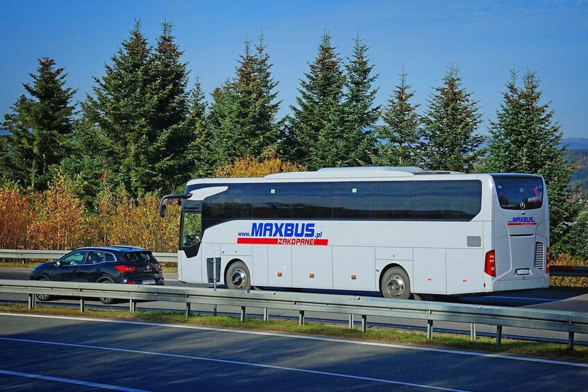 Picture 1 for Activity From Krakow: Bus Transfer to/from Zakopane