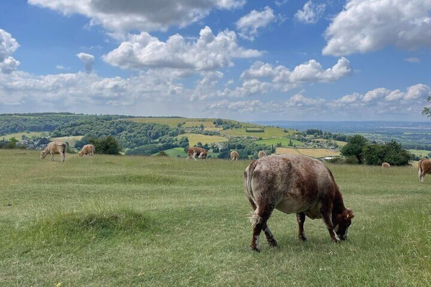 Full Day Cotswolds Tour; Where Opulence and Heritage Converge