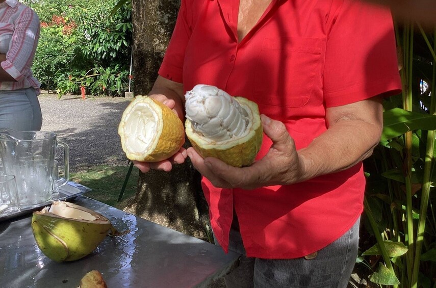 Spirt of the Maroons Cultural tour in Jamaica