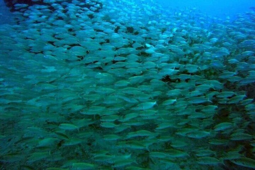 2-Hour Afternoon Snorkeling Experience in Gran Canaria by Boat