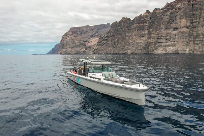 Our silent boat equipped with a hybrid engine system to reduce noise for animals and humans