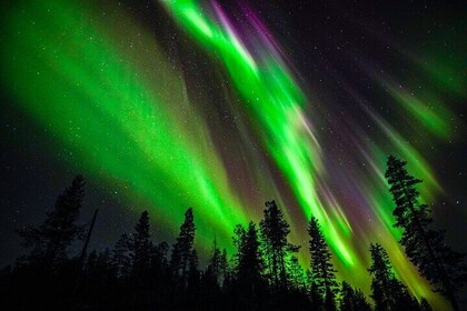 Family-Friendly: Northern Lights Adventure from Rovaniemi