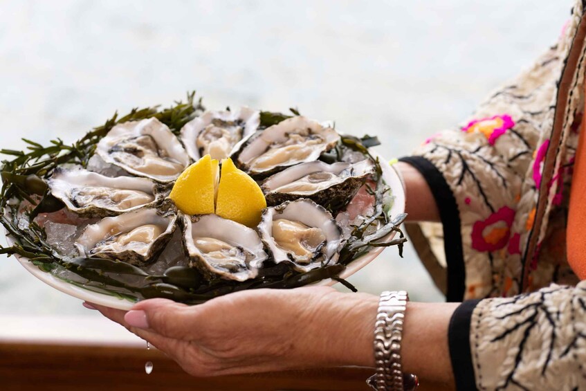 Picture 9 for Activity Antwerp: Private Old Harbour Boat Tour Incl. Drinks & Snacks