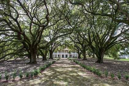 Audio-Guided Whitney Plantation Tour with Transportation