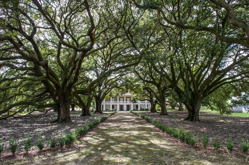 Audio-Guided Whitney Plantation Tour with Transportation