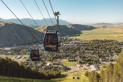 Jackson: Snow King Mountain Scenic Gondola-billett