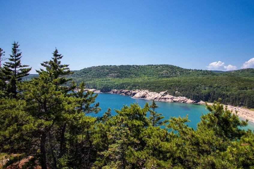 Bar Harbor and The Ocean Path Self-Guided Walking Tour