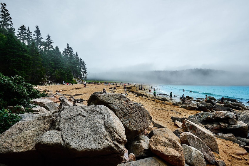 Bar Harbor and The Ocean Path Self-Guided Walking Tour