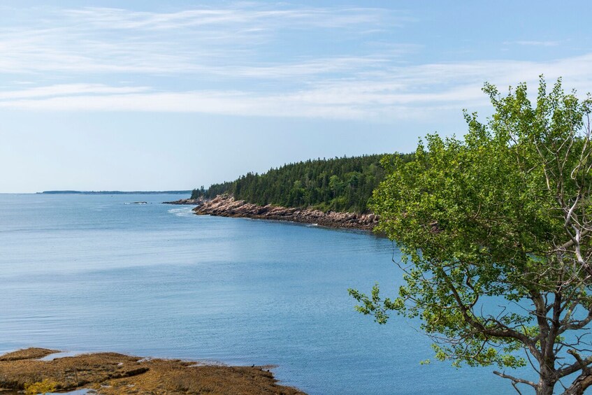Bar Harbor and The Ocean Path Self-Guided Walking Tour