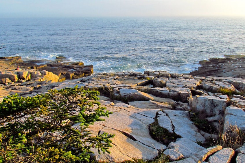 Bar Harbor and The Ocean Path Self-Guided Walking Tour