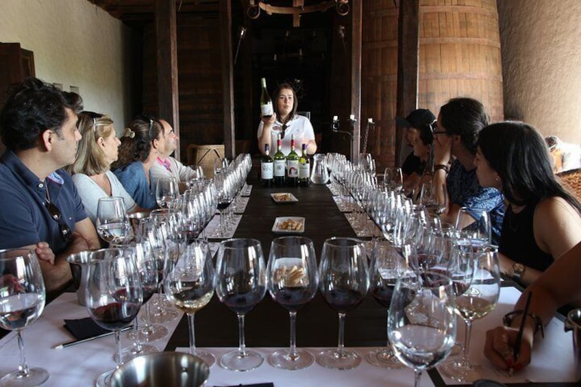 Viu Manent and Montes Alpha, Colchagua Valley from Santiago