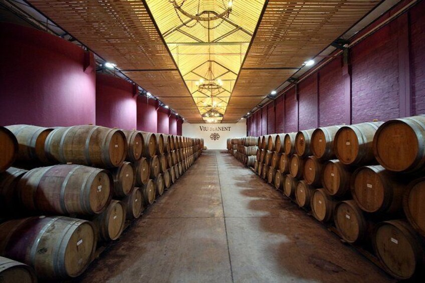 Viu Manent and Montes Alpha, Colchagua Valley from Santiago