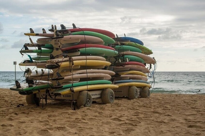 Tel Aviv Beach: Surf Board Rental