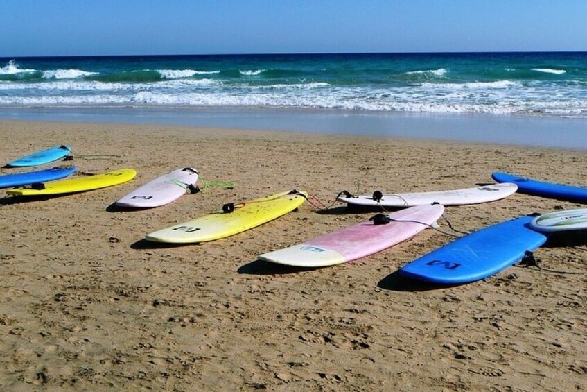 Tel Aviv Beach: Surf Board Rental