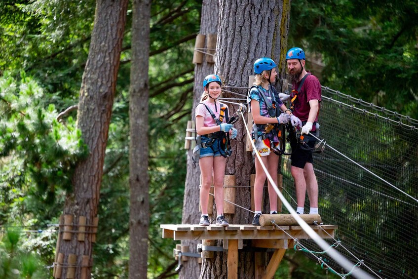 Picture 3 for Activity Dwellingup: Tree Ropes Course