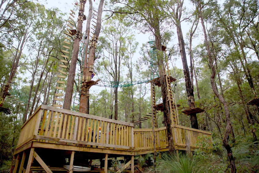 Picture 1 for Activity Dwellingup: Tree Ropes Course