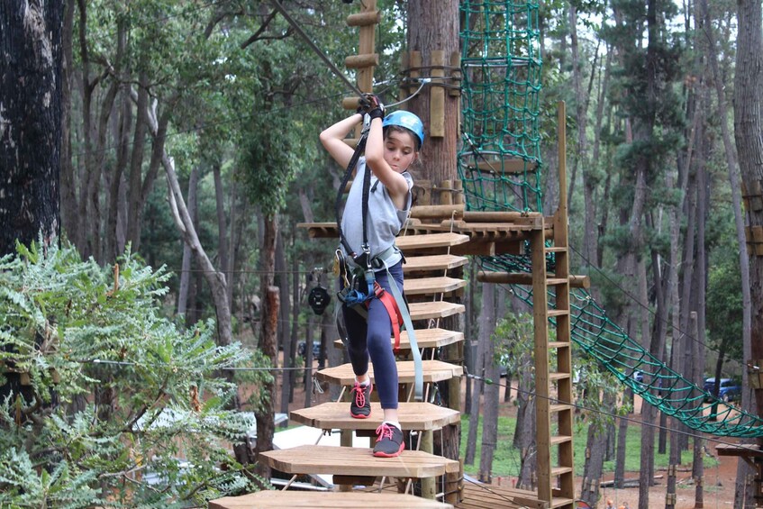 Picture 2 for Activity Dwellingup: Tree Ropes Course