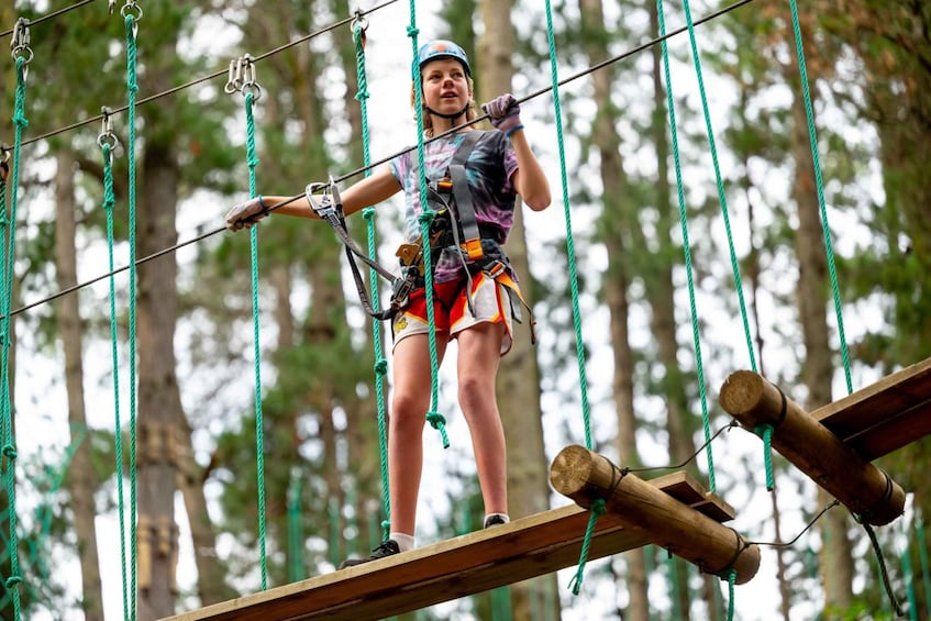 Picture 4 for Activity Dwellingup: Tree Ropes Course