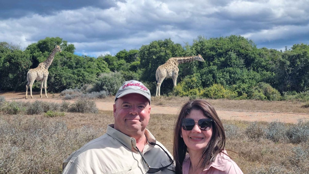 Addo Elephant Park and Giraffe Walk Private Full Day Safari