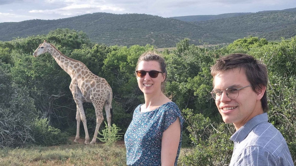 Addo Elephant Park and Giraffe Walk Private Full Day Safari