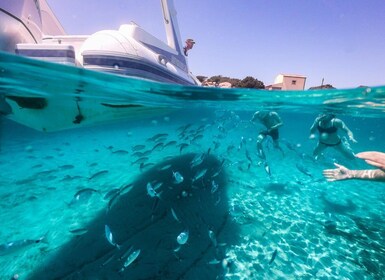 Half-Day Boat &Snorkeling tour to La Maddalena