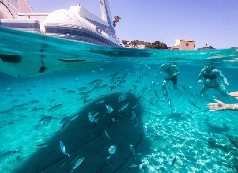 Half-Day Boat &Snorkeling tour to La Maddalena