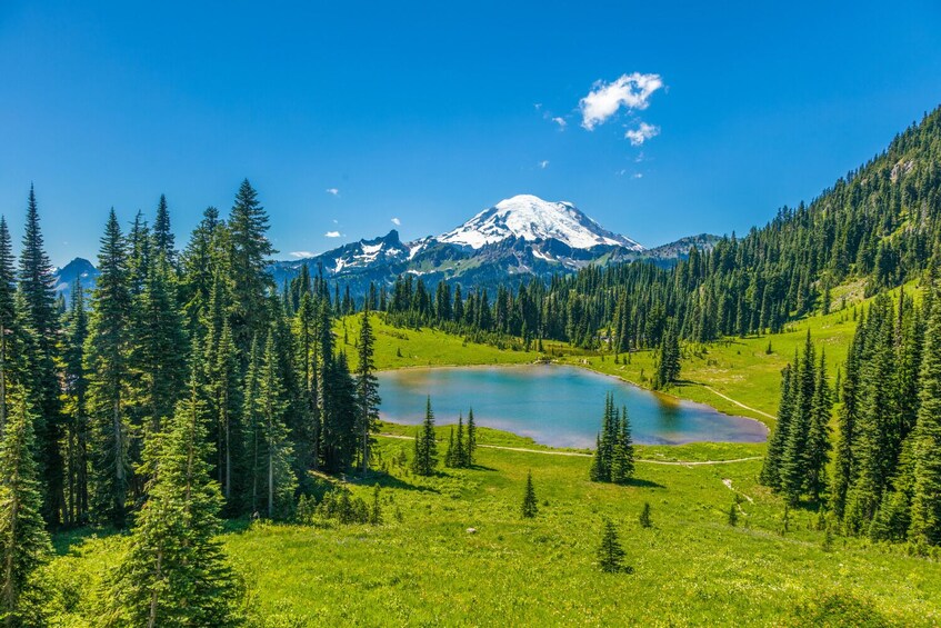 Mt Rainier, Seattle, & Olympic NP Self-Guided Audio Tours