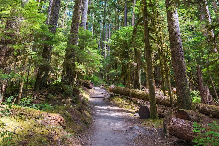 Mt Rainier, Seattle, & Olympic NP Self-Guided Audio Tours