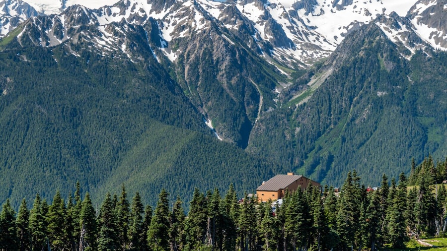Mt Rainier, Seattle, & Olympic NP Self-Guided Audio Tours