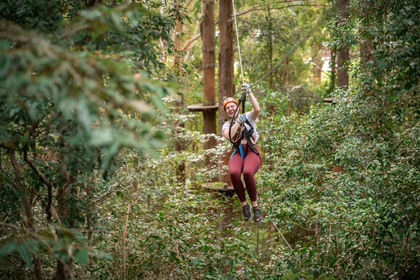 Picture 2 for Activity Newscastle: Australian Tree Ropes Course Adventure