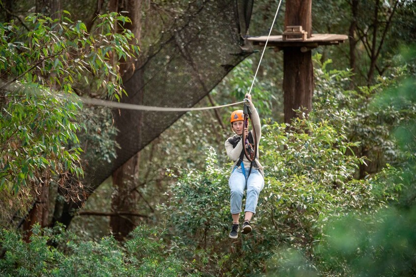 Picture 3 for Activity Newscastle: Australian Tree Ropes Course Adventure