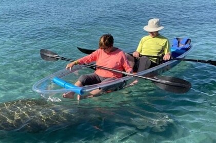 Playa de Tel Aviv: alquiler de kayaks en el club de playa