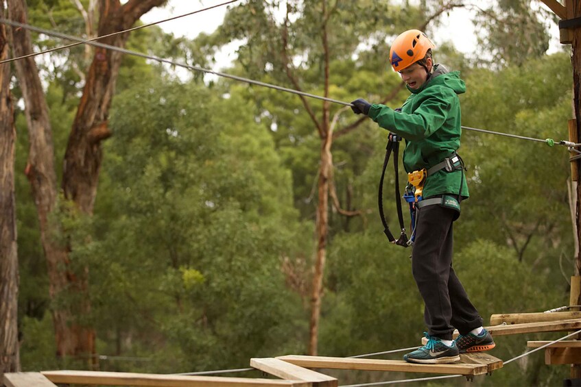 Yeodene: Tree Ropes Courses