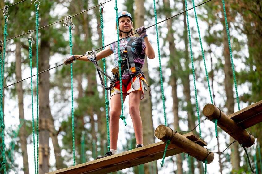 Picture 2 for Activity Yeodene: Tree Ropes Courses