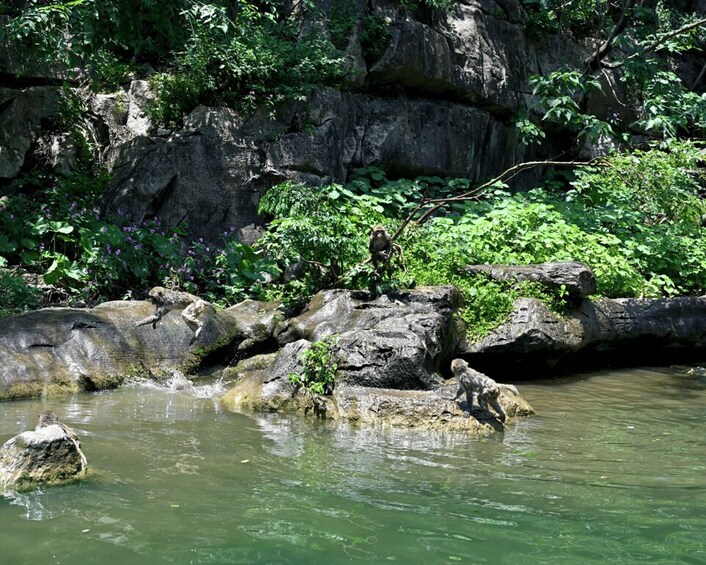 Picture 5 for Activity Sumidero Canyon & Chiapa de Corzo from Tuxtla