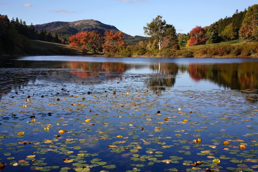  Acadia Mount Desert Self-Guided Driving Audio Tour