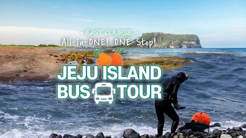 Jeju Island Eastern UNESCO Day Tour with Lunch included.