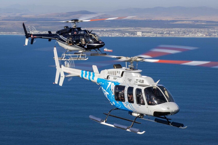 Picture 1 for Activity Cape Town: Hopper Helicopter Flight