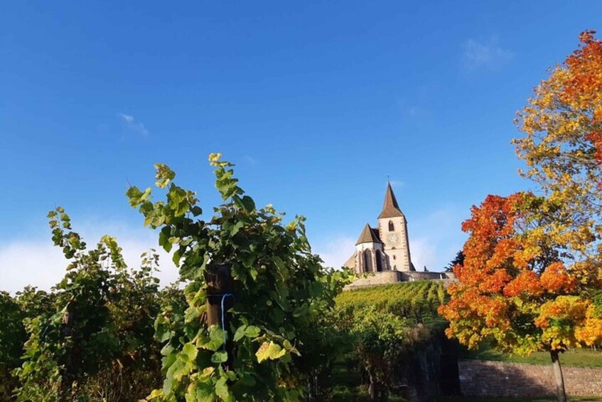 Picture 1 for Activity Alsace: Half-Day Wine Tour from Colmar