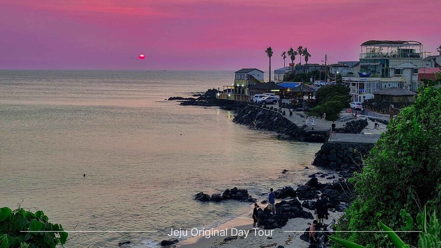 Picture 5 for Activity Jeju Island: Full-Day SouthWest Bus Tour with Entry Fees