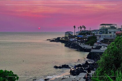 Jeju Island: Full-Day SouthWest Bus Tour with Entry Fees