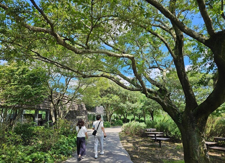 Picture 10 for Activity Jeju Island: Highlights Tour with Attraction Tickets & Lunch