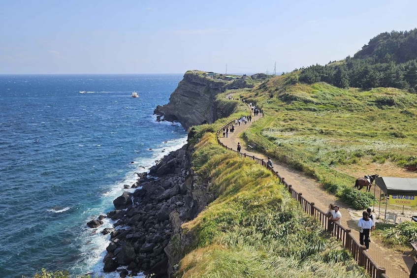 Picture 22 for Activity Jeju Island: Highlights Tour with Attraction Tickets & Lunch