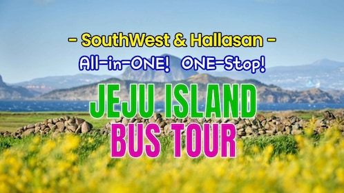 Jeju Island: Full-Day SouthWest Bus Tour with Entry Fees