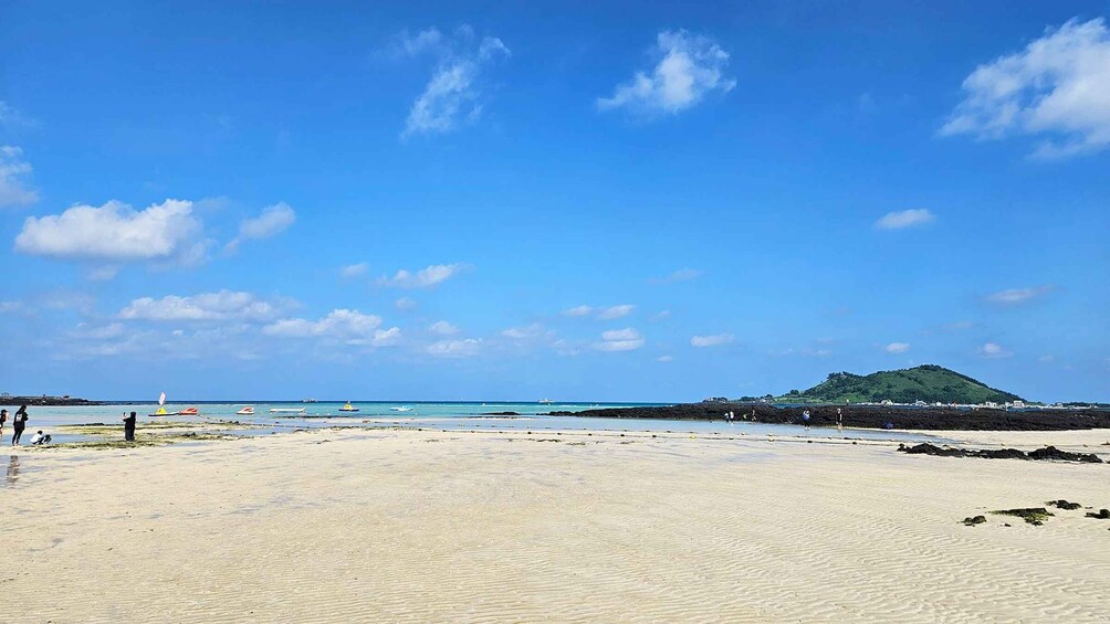 Picture 4 for Activity Jeju Island: Highlights Tour with Attraction Tickets & Lunch