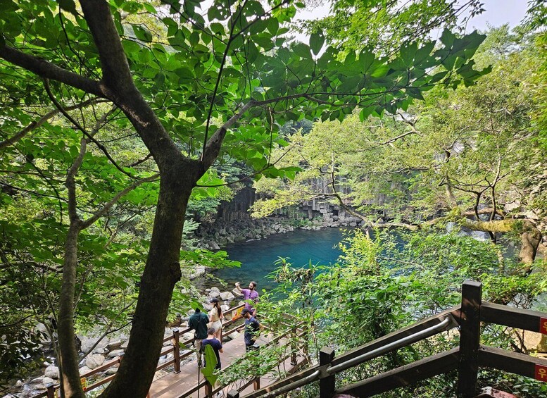 Picture 20 for Activity Jeju Island: Highlights Tour with Attraction Tickets & Lunch