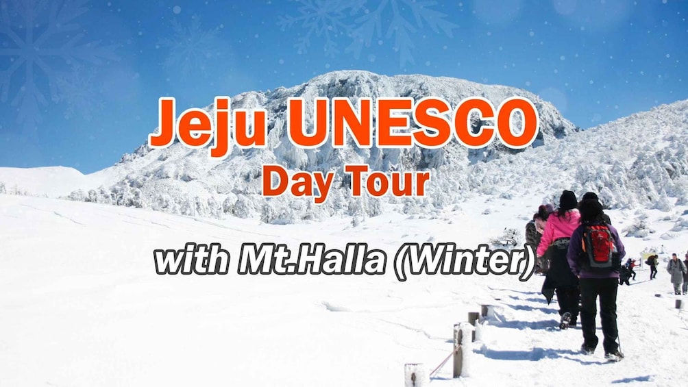 Jeju Island: Full-Day SouthWest Bus Tour with Entry Fees